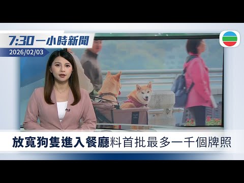 無綫7:30一小時新聞：放寬狗隻進入餐廳　料首批最多一千個牌照｜內地明年元旦起禁電動車隱藏式車門把手｜無綫新聞｜TVB News｜2026/02/03