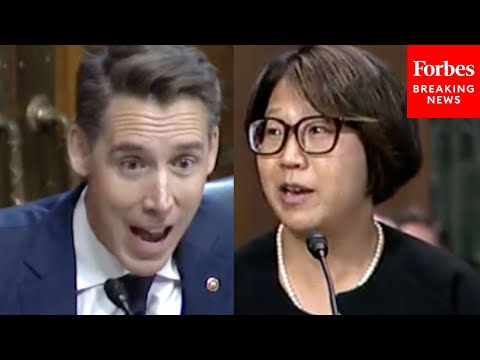 'I Can't Say I'm Surprised': Josh Hawley Presses Nominee On Border