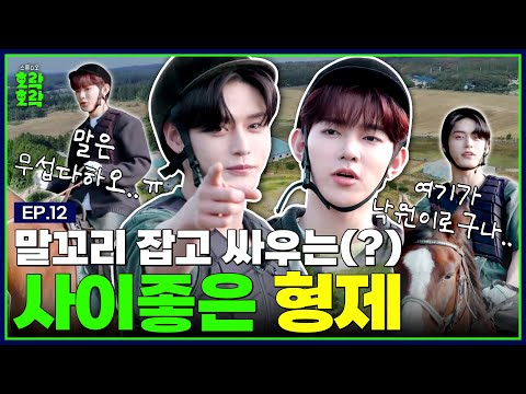 Ji Woong x Hao! Horses to Jeju Island and ZB1 to the ranch! Horseback riding in Jeju! | EP.12