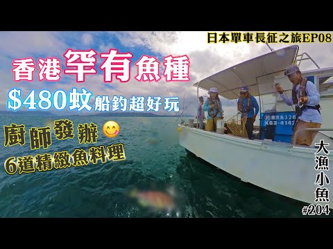 香港罕有魚種  廚師發辦  六道精緻菜式🍶 ┃ 日本人氣美女釣手一齊出發┃日本單車長征之旅EP08（鹿兒島）┃大漁小魚#204┃中文字幕