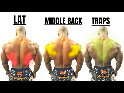 15 BEST BACK EXERCISES TO GET BIGGER BACK FAST / MUSCULATION DOS RÉSULTAT RAPIDE