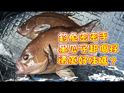 【漁人推介】香港水域 阿火帶大家出海釣魚，釣魚的季節，釣魚密密手？仕掛蝦肉可以釣到什麼魚？仕掛釣黑瓜子起孖？ 清蒸黑瓜子斑好唔好食？ Catch and Cook, Steam Grouper