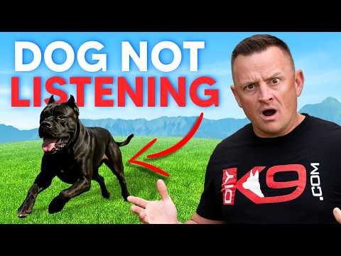 Stop Yelling! Do THIS and Your Dog Will Finally Listen!