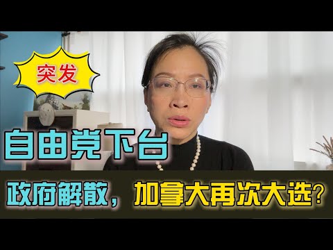 🇨🇦 聖誕驚魂|大選倒數計時！加拿大政治心臟驟停|卡尼政府「三票亡命關」，加拿大政局直衝全國大選懸崖！|《預算案》變《催命符》！ 三大反對黨天價勒索，卡尼十年藍圖恐一夕流產！| NDP成唯一生路？