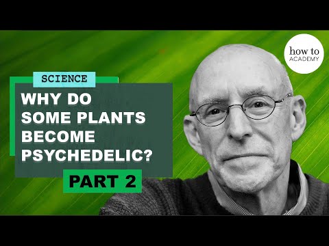 “I made opium tea…” Why religions and governments fear drugs | Michael Pollan meets Robin Ince