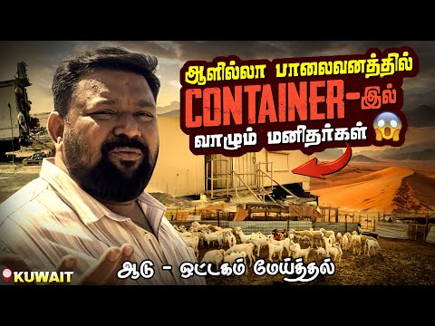 குடும்பத்திற்காக இரவும் பகலும்… தனிமையில் பாலைவனத்தில் வாழும் மனிதர்கள் | Kuwait Vlog | Gobinath
