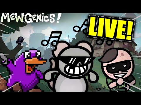 The Luckiest Cats youve seen Mewgenics