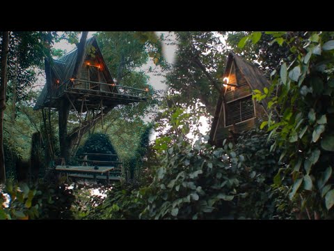 Membuat Rumah Pohon di Hutan di Kebun Lada, Tidur Nyenyak Di Rumah Pohon saat Hujan