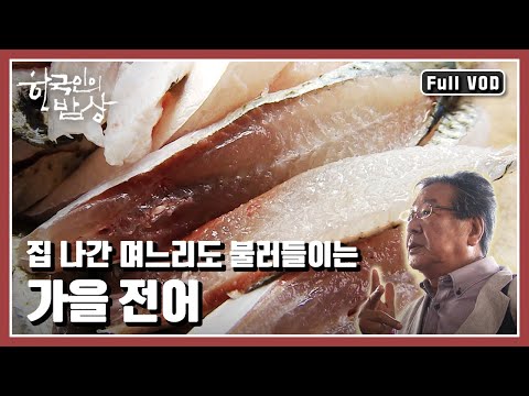 [한국인의밥상★풀버전]경상남도 사천, 충청남도 서천의 전어음식들을 만나본다!!! “고소한 가을 바다를 밥상에 올리다 - 사천 전어” (KBS 20110908 방송)