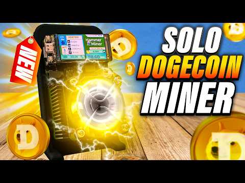 Hit a Solo Block and Earn 10,000 DOGECOIN!