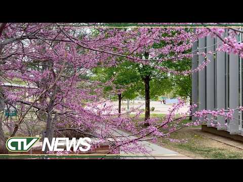 ECG Screenings // FoCo Drone Program  - CTV News Full Show