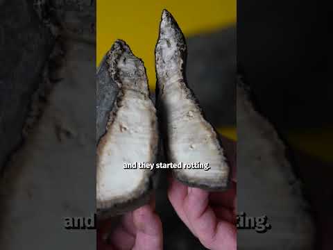 Rubber used to be useless…