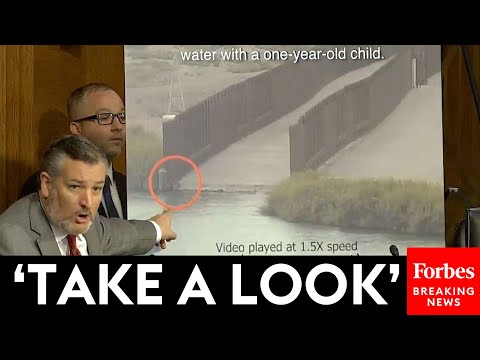 'Take A Look At This Image!': Ted Cruz Reveals Shocking Video Still During Hearing