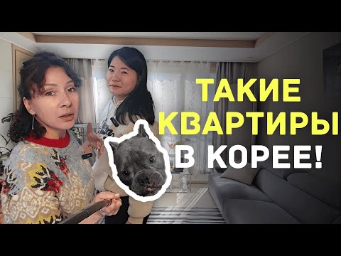 Такие квартиры в Корее!