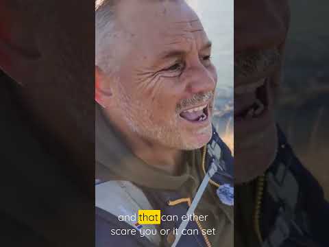 The Hard Truth I Learned After Quitting at 53