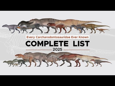 Every Carcharodontosaurid, explained.