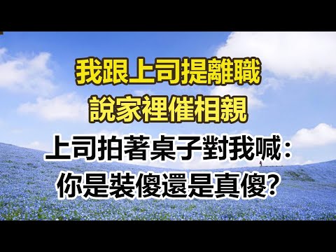 我跟上司提離職，說家裡催相親，上司拍著桌子對我喊：你是裝傻還是真傻？#幸福敲門 #為人處世 #生活經驗 #情感故事