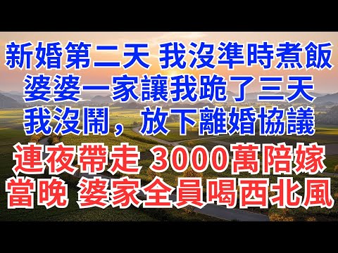 新婚第二天，我沒準時煮飯，婆婆一家讓我跪了三天，我沒鬧，放下離婚協議連夜帶走娘家3000萬陪嫁，當晚，婆家全員喝西北風傻了！ #情感故事#老人頻道#老年健康#為人處世#老年生活#婆媳關系#爽文#正能量