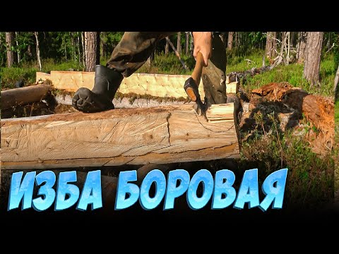 I'M BUILDING A "BOROVOYA" HUT. I GOT Caught In A SEVERE THUNDERSTORM. THE BEAVER IS A SPY.