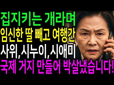 집 지키는 개라며 임신한 내 딸만 빼고 해외여행 간 사위 식구들, 국제 거지 만들어 박살냈습니다!