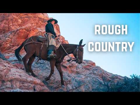Backcountry Rock Crawling With Mules