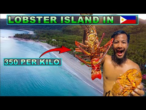 I Found the Cheapest Lobster & Seafood Market in the Philippines. Sobrang Mura