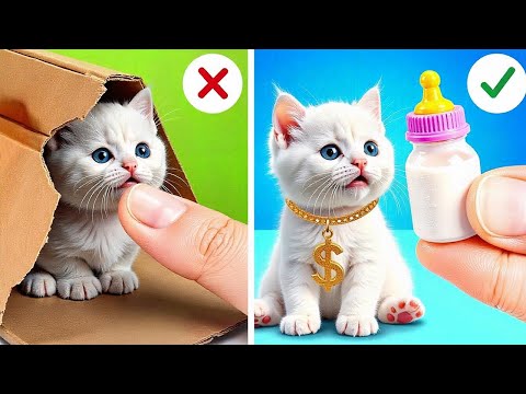 I Found Poor Kittens and Hid Them at Home 🐾🏠 Secret Pet Room Makeover