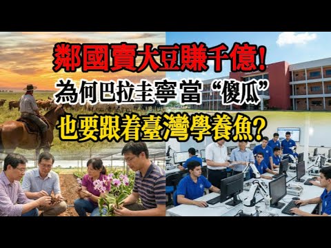 南美洲唯一的「傻瓜」？邻国靠卖大豆赚千亿，为何巴拉圭宁愿“少赚”也要跟台湾学“养鱼”？#巴拉圭 #台灣外交 #牛肉換技術 #鴨嘴魚 #地緣政治 #台巴情誼