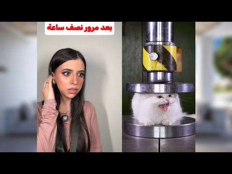  5 قصص فيديو واحد🥰اكتشف بنفسك القصص الجديدة اي 🤔 المفاجأة في النهاية هتفاجئك! 🥳"قصة التمشيه الطويله