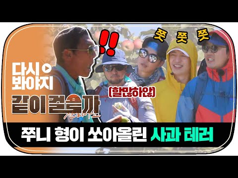 [다시봐야지] 5명 다 먹어야 끝나는 쭈니형의 사과 지옥🍎 우리가 백설공주야 뭐야~｜같이걸을까｜JTBC 181108 방송