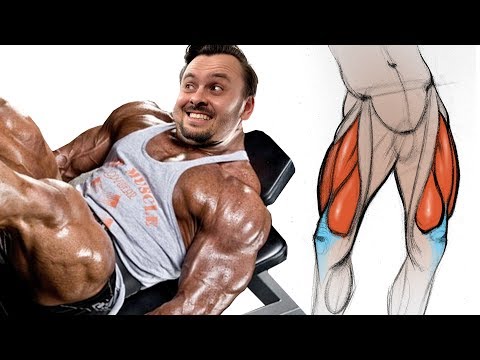 How to Draw Legs - The Quad Muscles