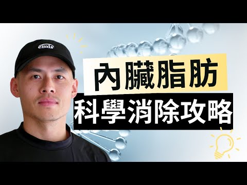 減內臟脂肪，光靠少吃多動沒用！科學證實這 3 招效果更驚人！