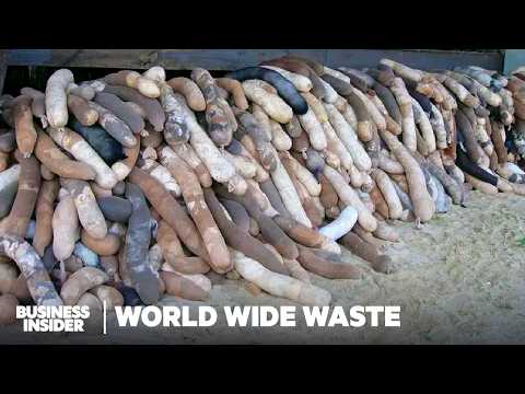 11 Ways People Make Money Off America's Garbage | World Wide Waste | Business Insider Marathon