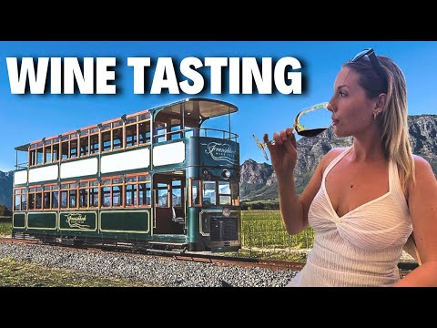 Is This South Africa's Best Wine Tour? | Franschhoek Wine Tram 🇿🇦