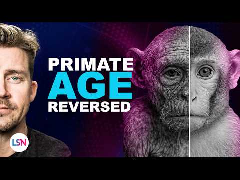 HUMAN Stem Cells Have Reversed Age In Monkey's with ZERO Side Effects