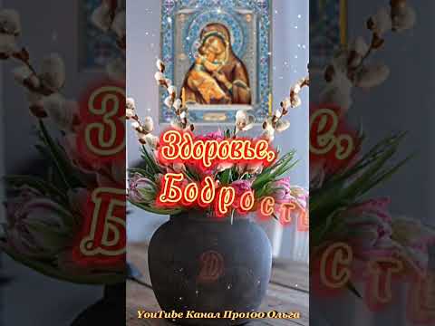 🌿С ВЕРБНЫМ ВОСКРЕСЕНЬЕМ 2025🌿Супер ПЕСНЯ🌿Очень Красивое Поздравление #shorts