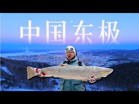 Fish Growing to 500 kg in China’s Easternmost City!