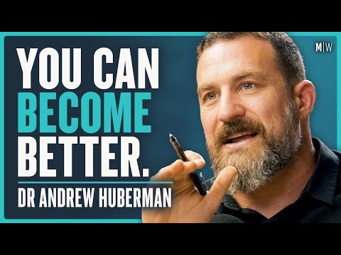 Understanding Stress, Willpower & Discipline - Dr Andrew Huberman (4K)