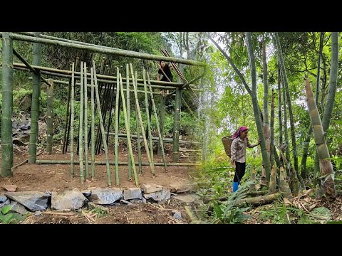 5 Years Building a Bamboo House – Single Mom Harvests Giant Bamboo Shoots to Raise Her Child