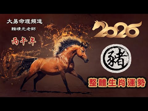 2026年 豬 生肖運勢｜2026 生肖「豬」 完整版｜2026年 运势 豬｜丙午年運勢  豬 2026｜2026年运途  豬｜ 豬 生肖运程 2026｜大易命理頻道｜賴靖元 老師｜CC 字幕