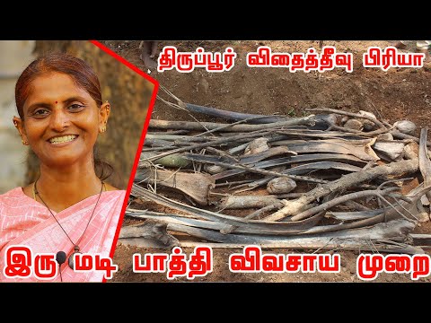 இரு மடி பாத்தி விவசாய முறை | மேட்டுப்பாத்தி கட்டும் முறை | திருப்பூர் விதைத்தீவு பிரியா