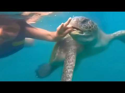 Это было снято на камеру: Уникальные моменты, которые случаются раз в жизни!