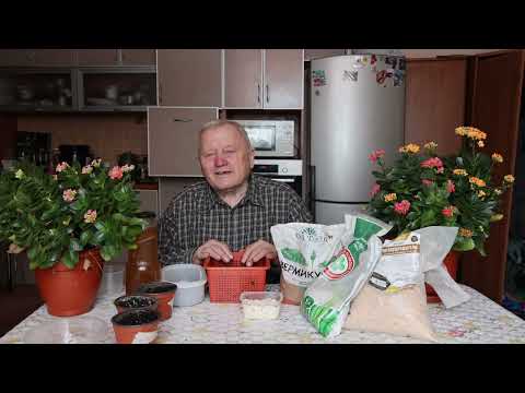 Как сделать по корейскому методу биостимулятор из яичной скорлупы и метаризиума. Лабрадор Лорд.