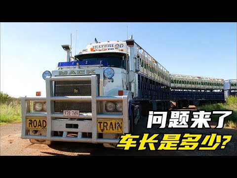澳大利亚最牛负载，三辆双层拖车运站立的牛群，3000公里仅用3天