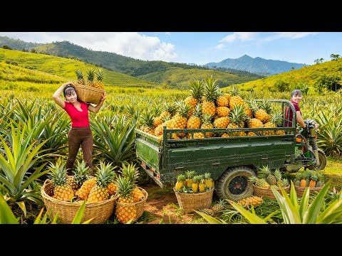 TIMELAPSE -- Harvest Tons Of Giant Pineapples, Use Truck Transport Many Pineapples Go To Market Sell