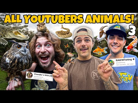 Visiting EVERY ANIMAL YouTuber’s House!! *EPIC PETS*