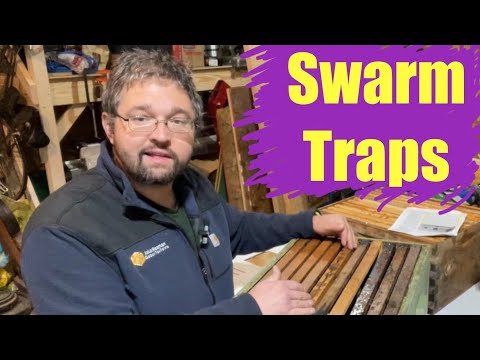 Swarm Trapping and Bait Hives