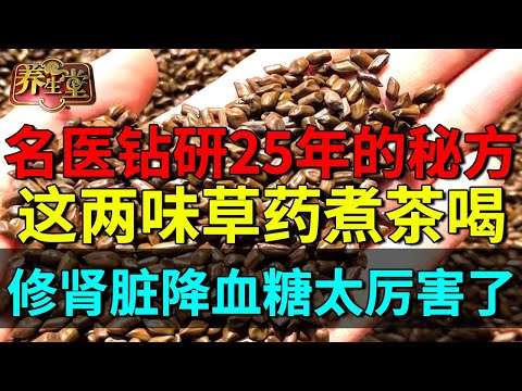 名医钻研25年的修肾、降血糖秘方，这两味草药煮茶喝，降蛋白消水肿、血液循环立刻改善【养生堂】