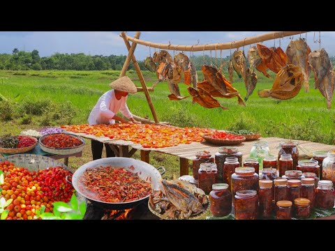 Sun-dried Fish & Spices — Cook & Bottle to Preserve For Years! | Chilies,Tomatoes &Dried Fish in Oil