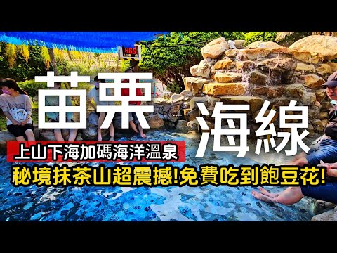 苗栗海線景點全免費❗全台唯一海洋溫泉｜視野震撼的秘境抹茶山｜季節限定綠石槽海岸｜隱藏版刈包便宜到你傻眼｜免費豆花吃到飽｜海線❌苗栗｜TAIWAN｜